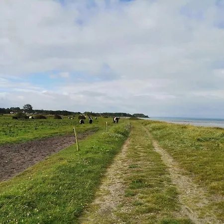 4 Star In * Nordborg Kommune